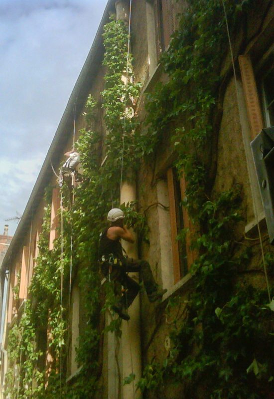 Dévégétalisation de façade en hauteur avec accès sur cordes