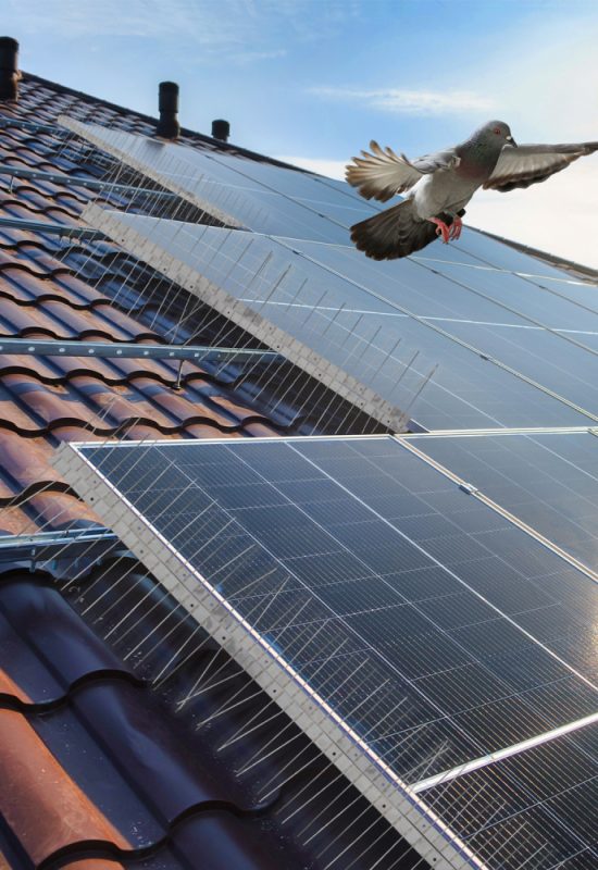 Pose de dispositif anti-volatile à Lyon