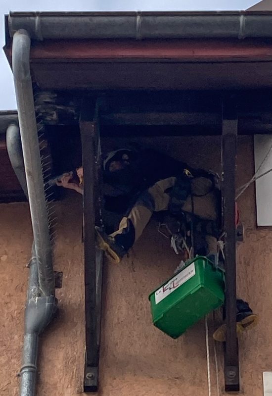 Pose de dispositif anti-volatile à Lyon