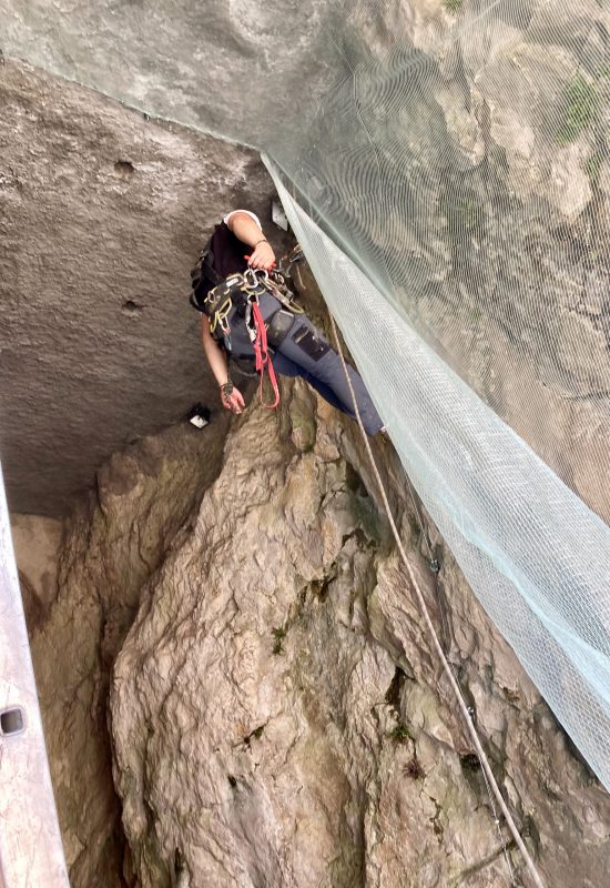 Pose de filets de protection